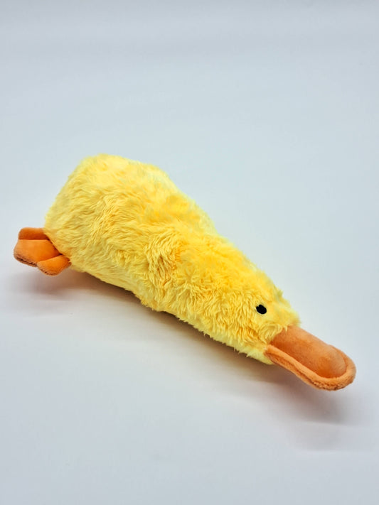 Toys N Treats Box - Platz the Platypus Plush Pet Toy for Cats/Dogs: Yellow