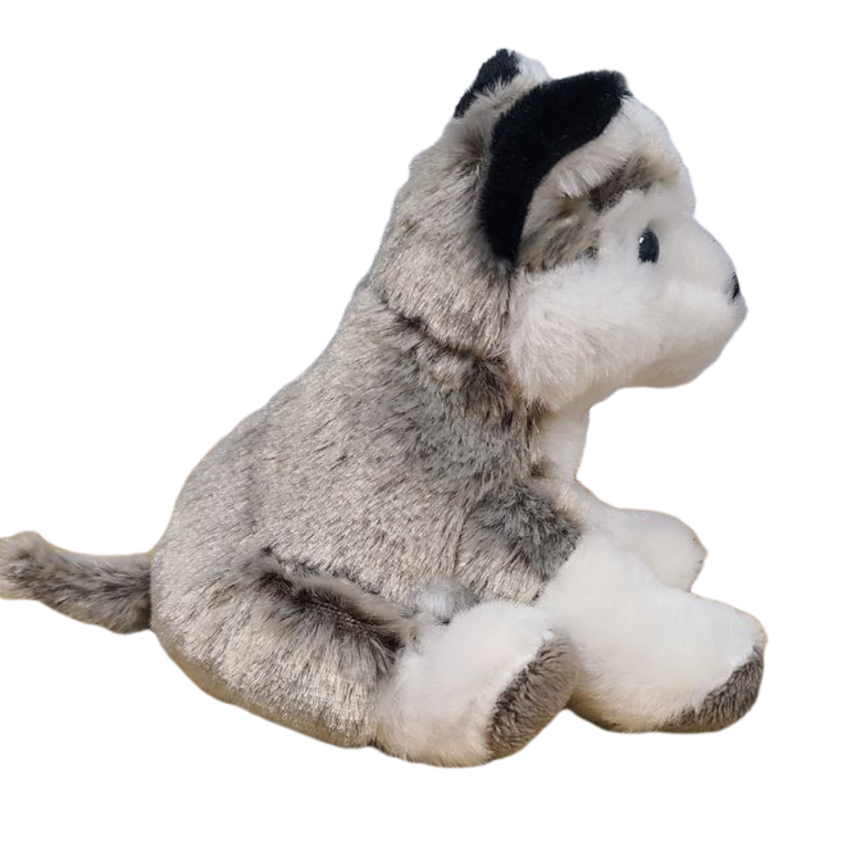 Duke the Canned Husky