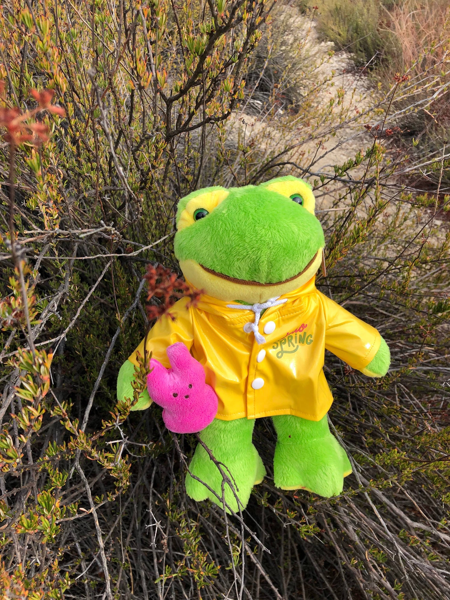 Easter Collection - Frog in a Raincoat Holding a Peep