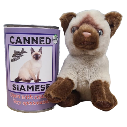 Sapphire the Canned Siamese
