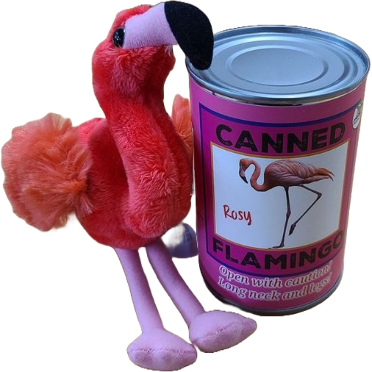 Canned Gifts - Rosy the Canned Flamingo