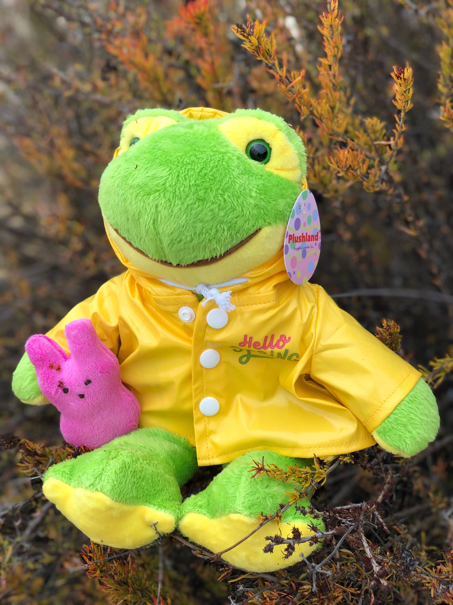 Easter Collection - Frog in a Raincoat Holding a Peep