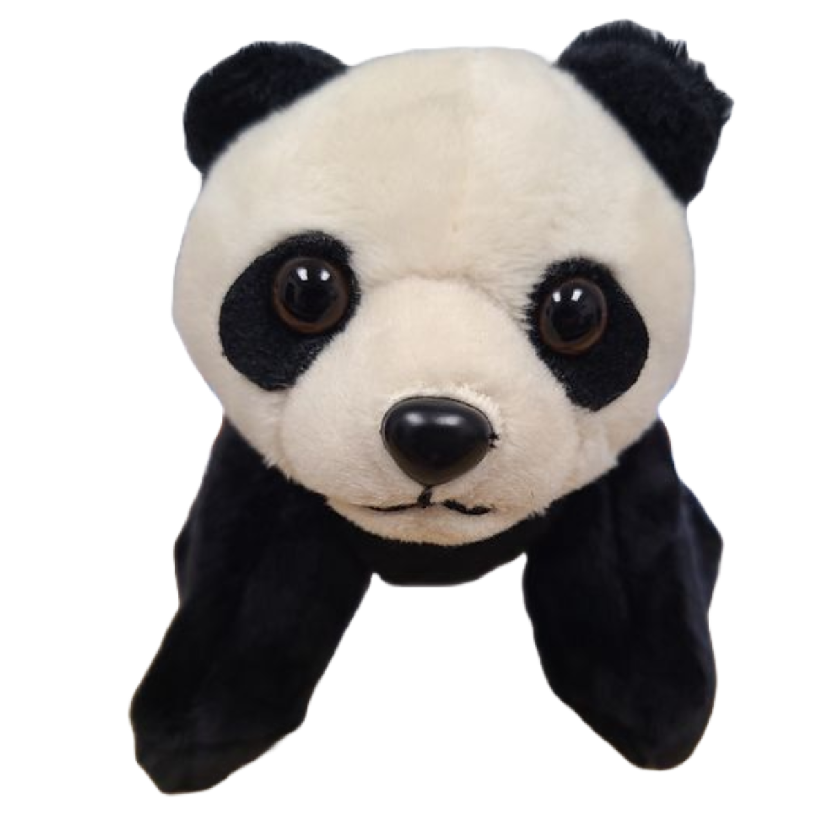 Canned Gifts -Chubbs the Canned Panda