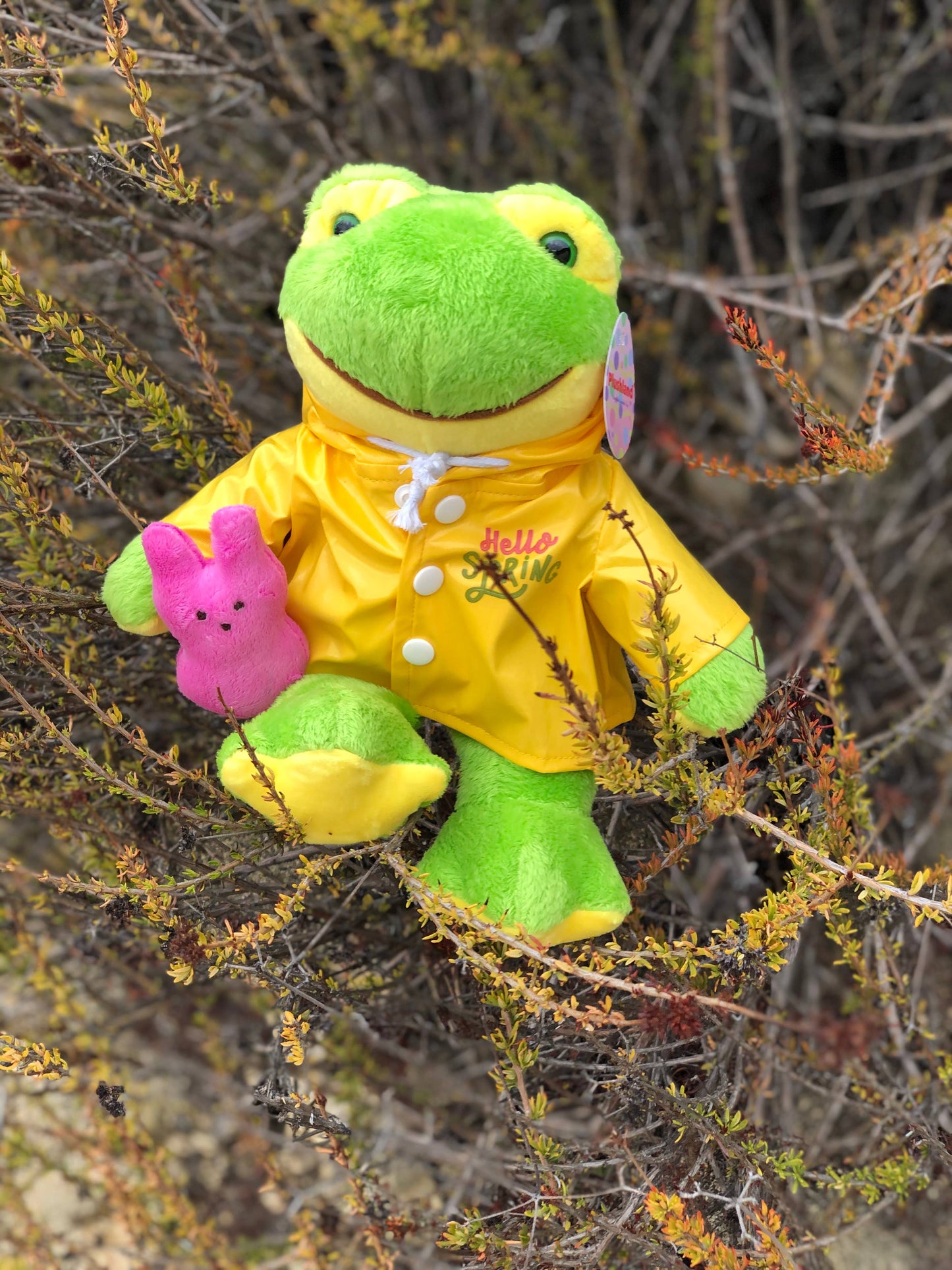 Easter Collection - Frog in a Raincoat Holding a Peep