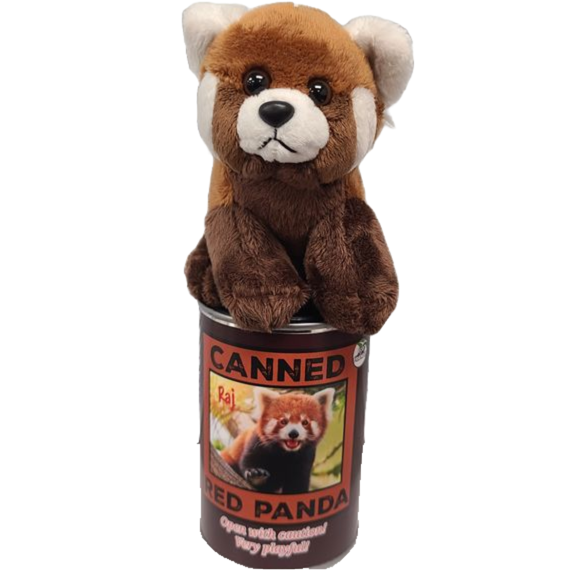 Raj the Canned Red Panda
