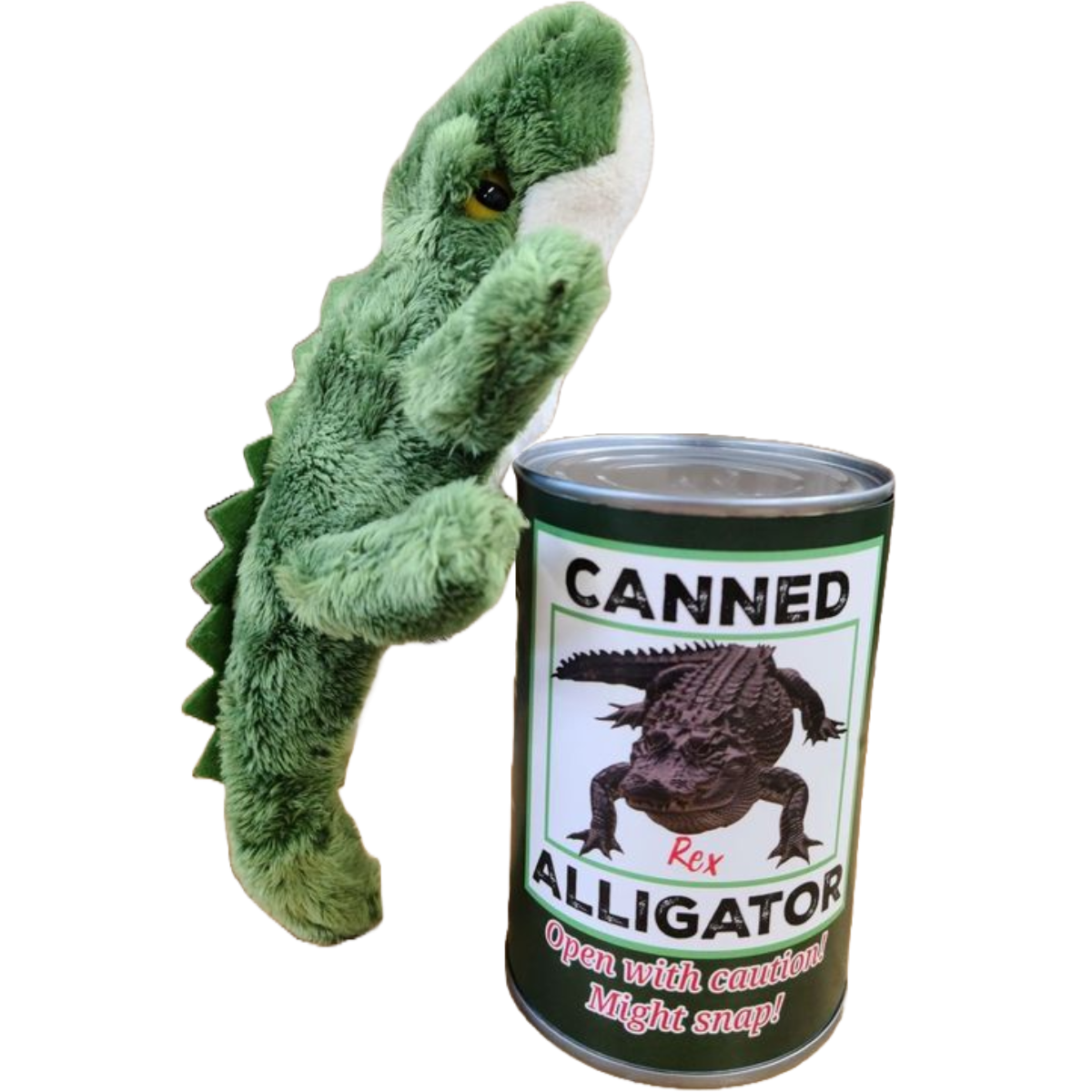 Rex the Canned Alligator