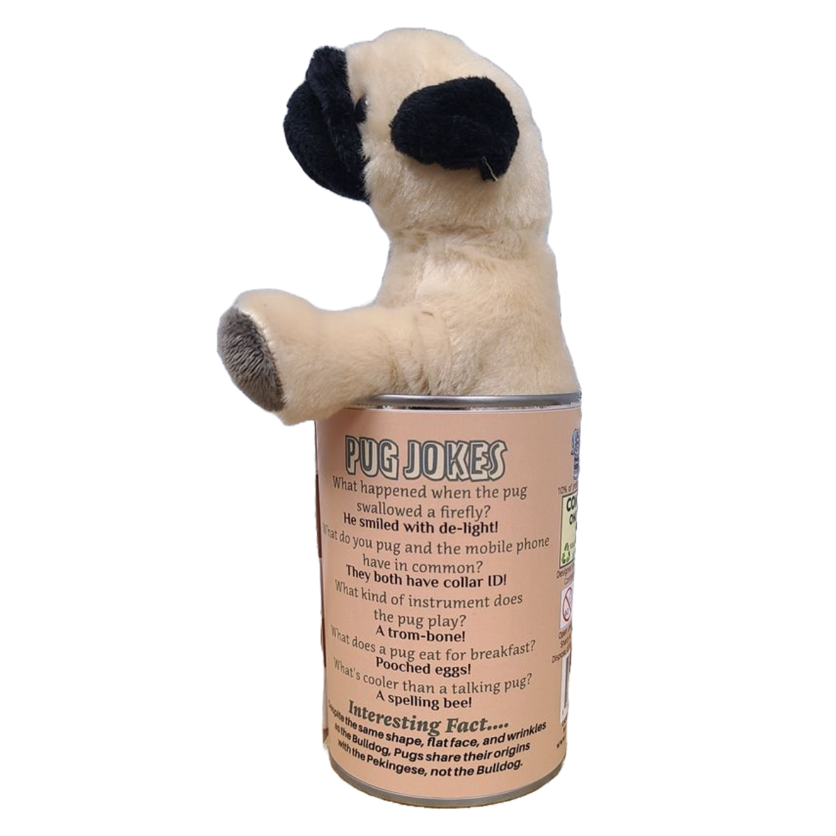 Oliver the Canned Pug - Rescue Dog