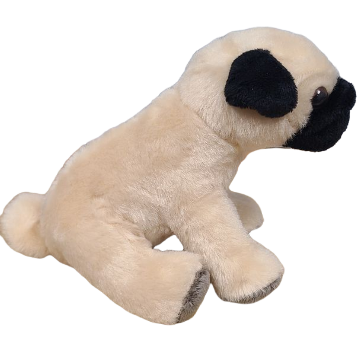 Oliver the Canned Pug - Rescue Dog